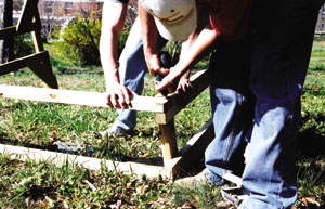 1222200494659_swarb9.jpg