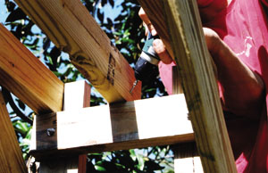 1222200494728_swarb11.jpg